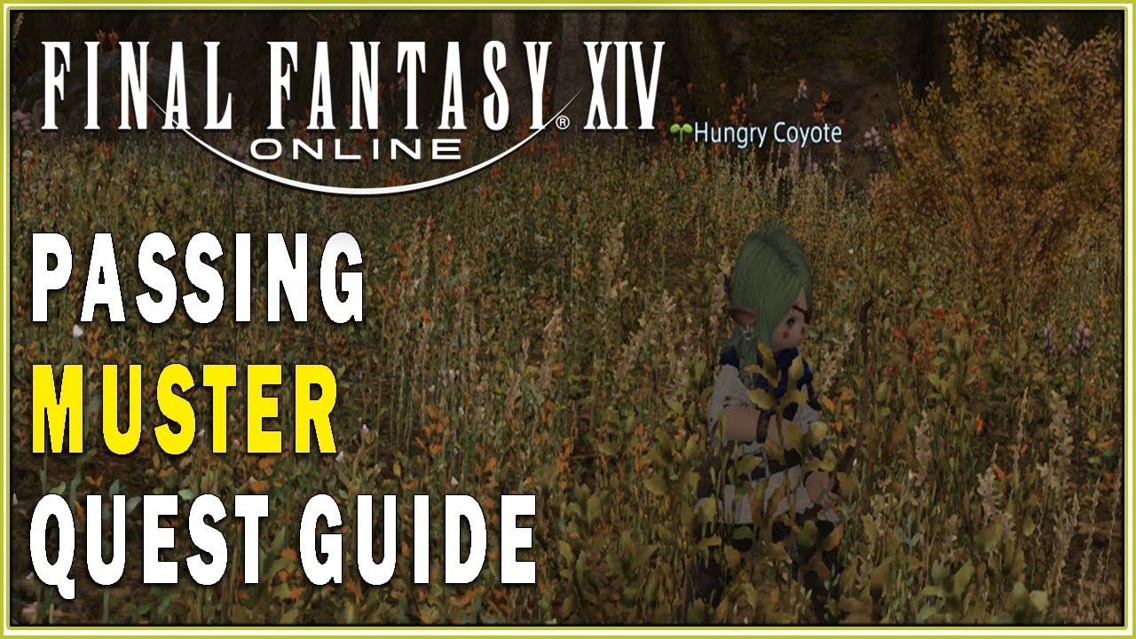 FINAL FANTASY XIV Passing Muster Quest Guide FFXIV Main Scenario