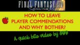 FF14 How to leave Commendations in Final Fantasy 14. How to check & leave Player Commendations FF 14