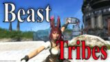 FFXIV ARR ( A Realm Reborn ) Beast Tribes And Their Quests PS4/5 Or PC