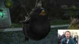 FFXIV – Final Fantasy XIV Fat Black Chocobo mount!