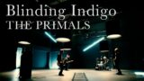 FINAL FANTASY XIV: Scions & Sinners – Blinding Indigo Music Video (THE PRIMALS)