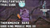 Final Fantasy 14 – A Realm Reborn – Thornmarch (Hard) – Trial Guide