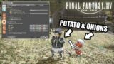 Final Fantasy 14 – The Only TWO Gameplay Beginner Tips Any Non-MMO FF Gamer Will Need