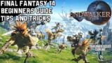 Final Fantasy XIV – Beginners Guide – How to get started – Tips and Tricks (2021)