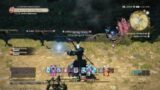 Final Fantasy XIV Black Mage(Lvl. 70) Rotation Practise