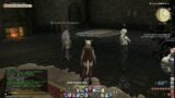 Final Fantasy XIV Bot Problem