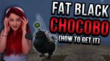 How to get the Fat Black Chocobo RIGHT NOW! (Final Fantasy XIV)