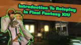 New Player Guide To Roleplay In Final Fantasy XIV