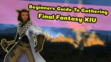 New Players Gathering Job Guide – Final Fantasy XIV