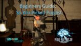So you picked Pugilist : FF14 Beginners Guide