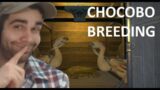 Chocobo Breeding GUIDE – Final Fantasy XIV