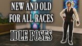 Every Idle Pose for Every Race (FFXIV)