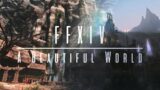 FFXIV – A Beautiful World