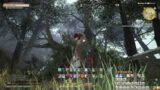 FFXIV – The Trees Have Eyes