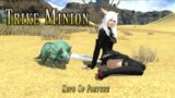 FFXIV: Trike Minion