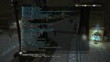 FINAL FANTASY XIV MCH Raging at me because i heal less in E12s!!!! (Very toxic)