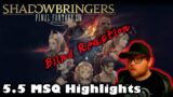 Final Fantasy XIV | Death Unto Dawn (5.5) MSQ Highlights | Blind Reaction