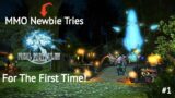 First Steps Into Eorzea! – MMO Newbie Tries Final Fantasy 14 #1