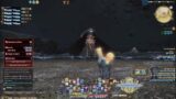 From Beyond the Grave – PALADIN – Final Fantasy 14 Critical Engagements