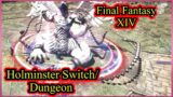 Holminster switch failed in the last boss Final Fantasy XIV