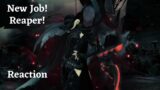 Reaper FFXIV – New Player Reaction!
