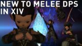 So You're New To Melee DPS in FFXIV…
