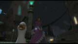 Twitch Stream – Final Fantasy XIV