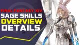 FFXIV Endwalker SAGE Job Skills & Actions Overview | Ginger Prime