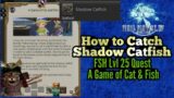 FFXIV FSH lvl 25 Job Quest A Game of Cat and Fish how to catch Shadow Catfish