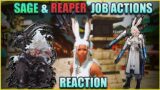 FFXIV Sage and Reaper Reaction! Job Actions Are Gorgeous!!