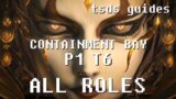 FFXIV Shadowbringers Containment Bay P1 T6 Guide for All Roles