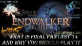 [FINAL FANTASY 14] – What is it & Why you should play it! A Quick breakdown of my favourite game!