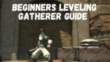 Final Fantasy XIV – Newbie Beginners Guide How To Level Gathering Jobs / Professions