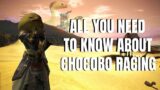 The Complete Beginner's Guide to FFXIV Chocobo Racing (5.55 2021)