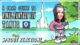 Vee reacts to A CRAP GUIDE TO FFXIV TANKS by JoCat!