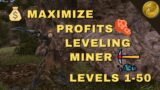 WHAT SHOULD YOU BE MINING IN FFXIV 1-50  –  Mining Leveling Guide Level 1-50
