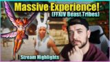 90% Of What You Need To Know About FFXIV Beast Tribes (Stream Highlights)