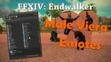 All Unique Male Viera Emotes Including the Sit Poses | FFXIV: Endwalker