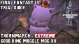 Final Fantasy 14 – A Realm Reborn – Thornmarch (Extreme) – Trial Guide