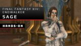 Final Fantasy XIV: Endwalker Hands-On with Sage