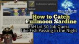 How to Catch Fullmoon Sardine FFXIV FSH Job Quest lvl 30