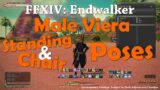Male Viera All Standing and Sitting on Chair Poses | FFXIV: Endwalker