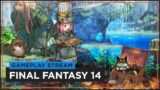 Every Tank & Healer 80 AMA | Final Fantasy XIV