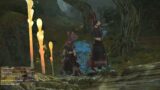 [FFXIV CLIPS] LOOK A WOW TOKEN IN FFXIV | CAPTAINGRIM_
