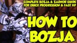 FFXIV: How to Complete Bozja Before Endwalker! (Bozja/Zadnor 5.55 Guide)