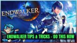15 Things You NEED to Know About in Final Fantasy XIV: Endwalker! (Don't Ruin Your Character)