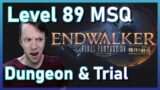 ENDWALKER Level 89 Dungeon & Trial REACTION | FFXIV