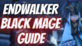 FFXIV – Black Mage Endwalker Guide – Openers, Rotation, Optimization, and Frequently Asked Questions