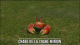FFXIV: Crabe De La Crabe Minion
