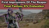 FFXIV Endwalker | My First Impression Of The Reaper Job
